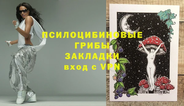 индика Абдулино